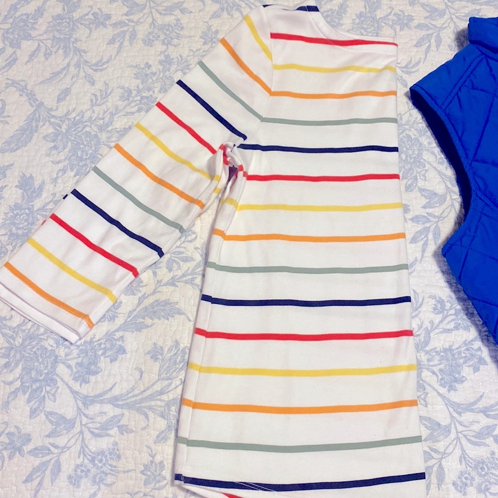 Charter Club Pima cotton top Medium